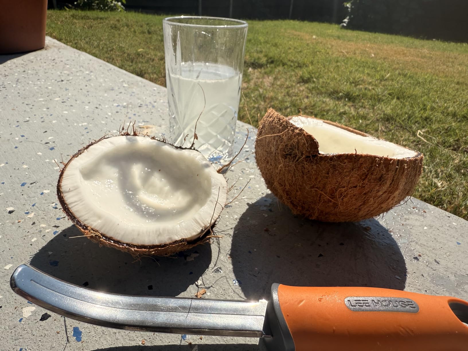 Coconut Meat Remover Knife,Coconut Tool,Coconut Meat Removal Tool Durable Silicone Handle Stainless Steel Coconut Opener Scraper for Kitchen Home customer photo 1