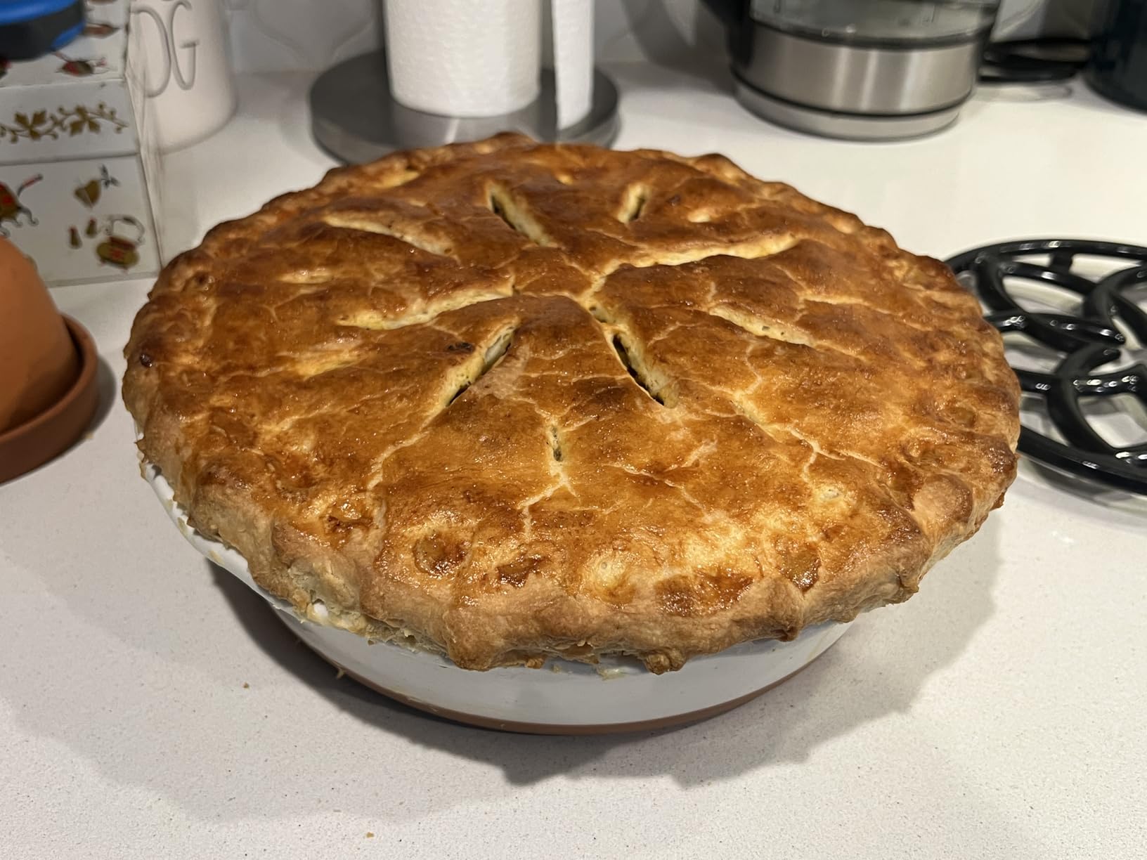 Mora Deep Fluted Ceramic Pie Dish for Apple Pie, Quiche, Tart - 9 inch - Modern Farmhouse Style Porcelain - Earl Grey customer photo 2