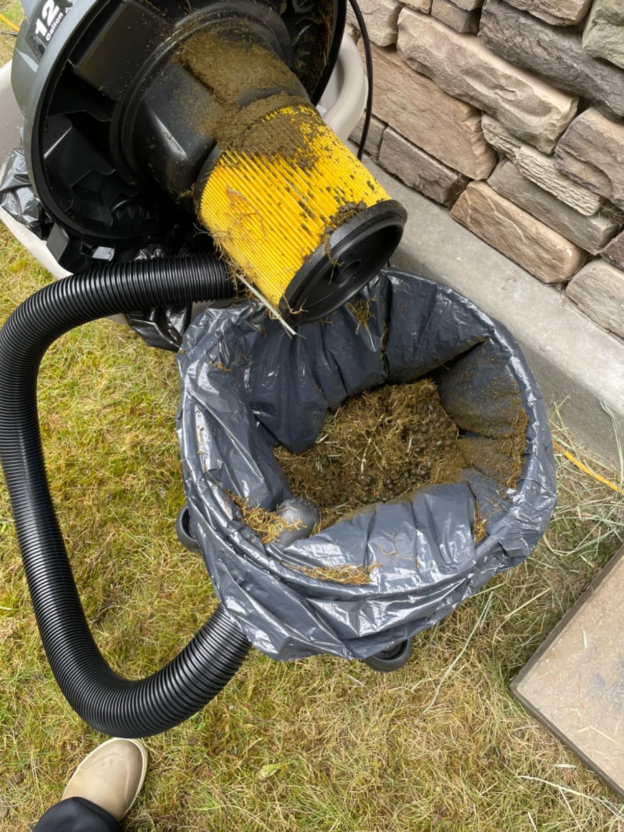 Vacmaster Wet/Dry Vacuum with Detachable Blower 6 Gallon 5 Peak HP customer photo 1