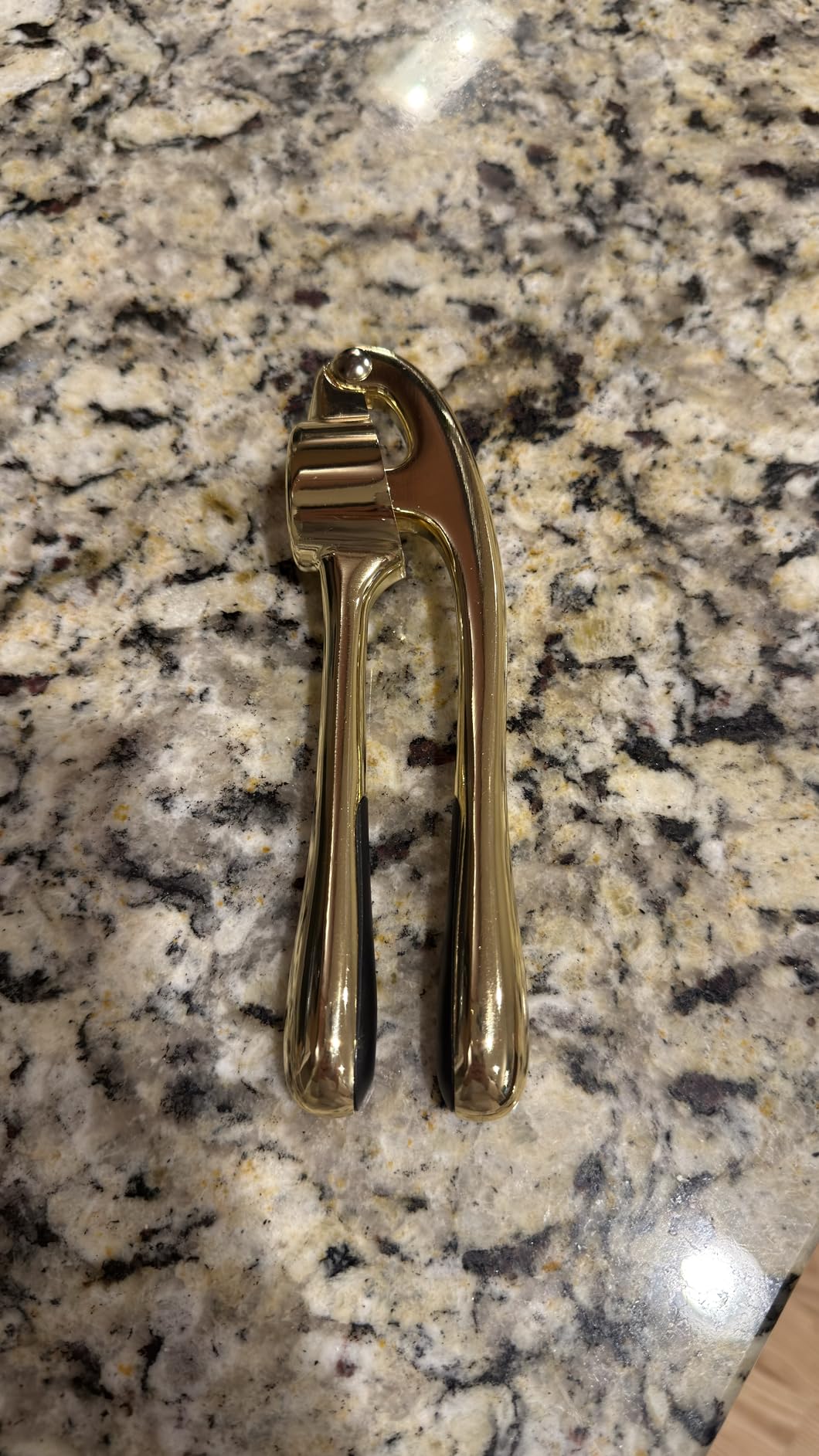 Kitessensu High Effective Garlic Press With Studs, Heavy Duty Garlic Mincer, Easy to Squeeze and Clean, Rust Proof & Dishwasher Safe, Ginger Crusher- Imperial Silver customer photo 2