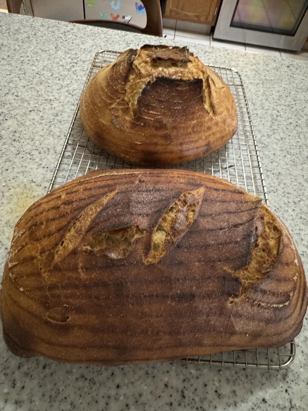 Challenger Bread Pan Cast Iron Loaf Pan with Lid for Artisan Sourdough and Homemade Bread Baking, Pre-Seasoned, Made in USA customer photo 2