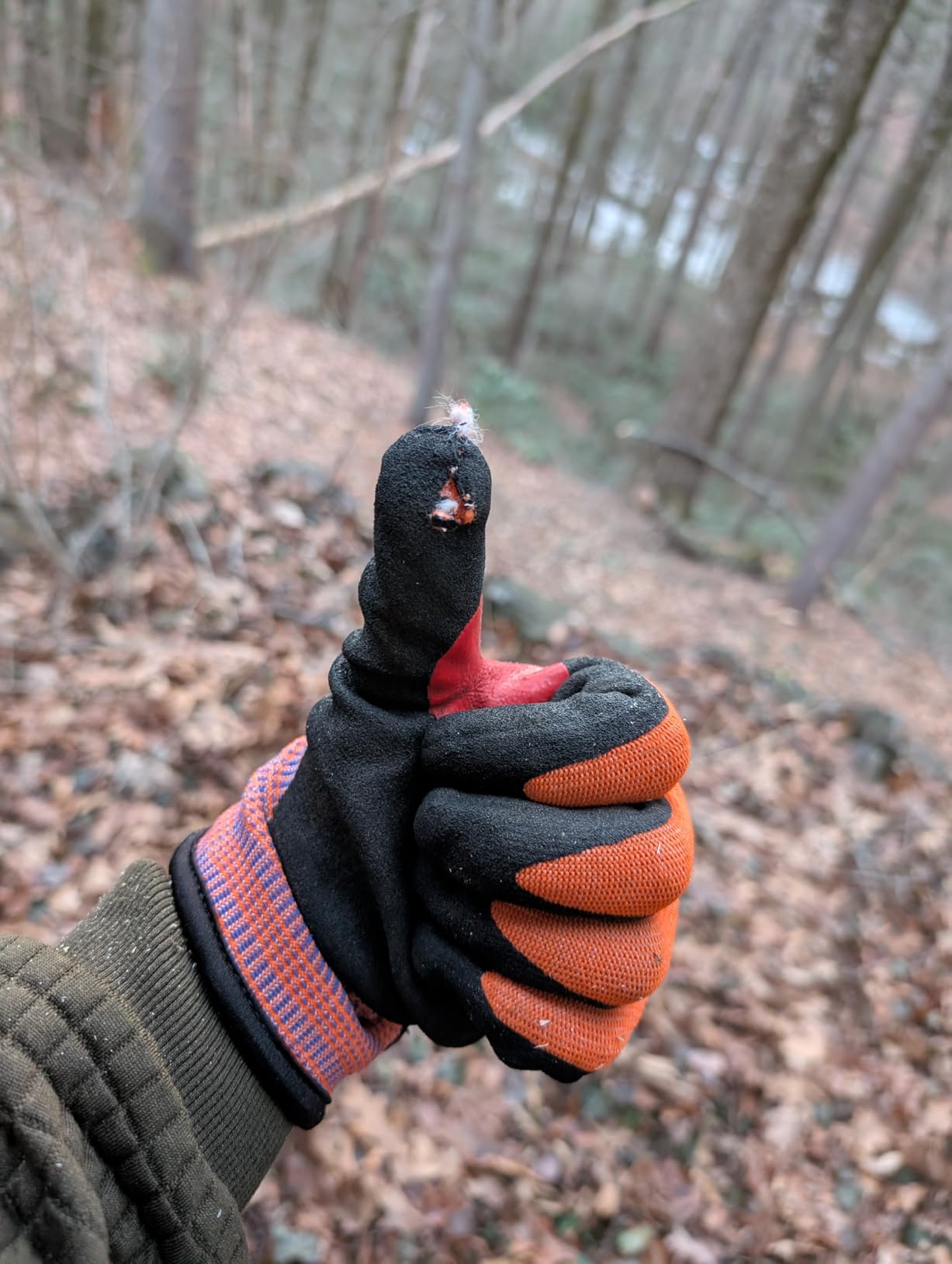 Schwer ProGuard High Level Cut Resistant Work Gloves PR3326 for Extreme Protection，ANSI A9 Cut Gloves with Reinforced Thumb, Non Slip, Breathable, Durable, Touch-screen, Black 1 Pair（L） customer photo 2