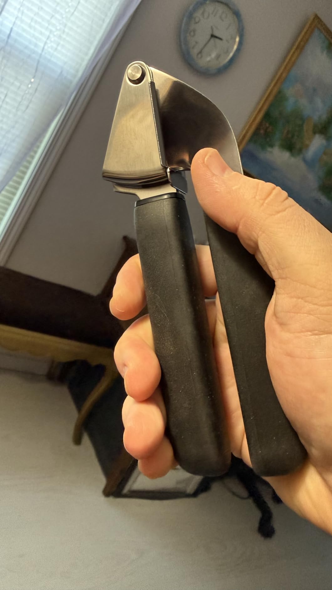 OXO Good Grips Stainless Steel Garlic Press customer photo 2