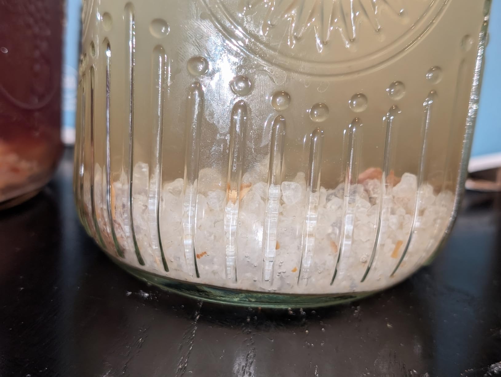 Natural Probio® Water Kefir Grains - Starter Culture Kit - Fruit Kefir + Complete Guide, Recipe & Tips + Ebook Library Access + Customer Support (0.35 oz dehydrated / 2.12 oz rehydrated) customer photo 2