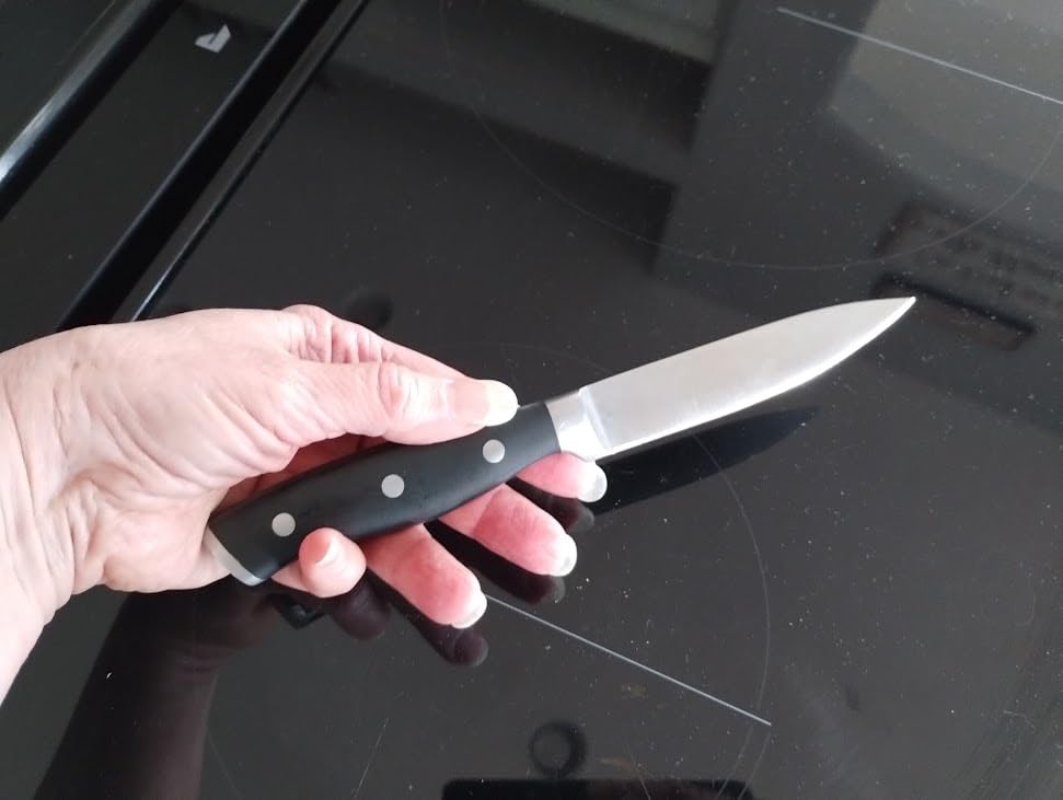 HENCKELS Forged Accent Razor-Sharp 2-pc Paring Knife Set, German Engineered customer photo 1