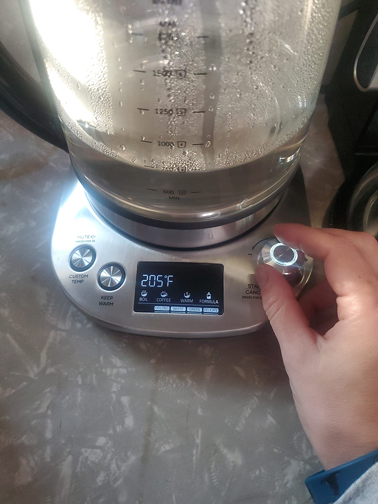 Mecity Electric Tea Kettle with Removable Infuser, 9 Preset Brewing Programs, Temperature Control, 2 Hours Keep Warm, Borosilicate Glass, 1.7 Liter, 1200W customer photo 1