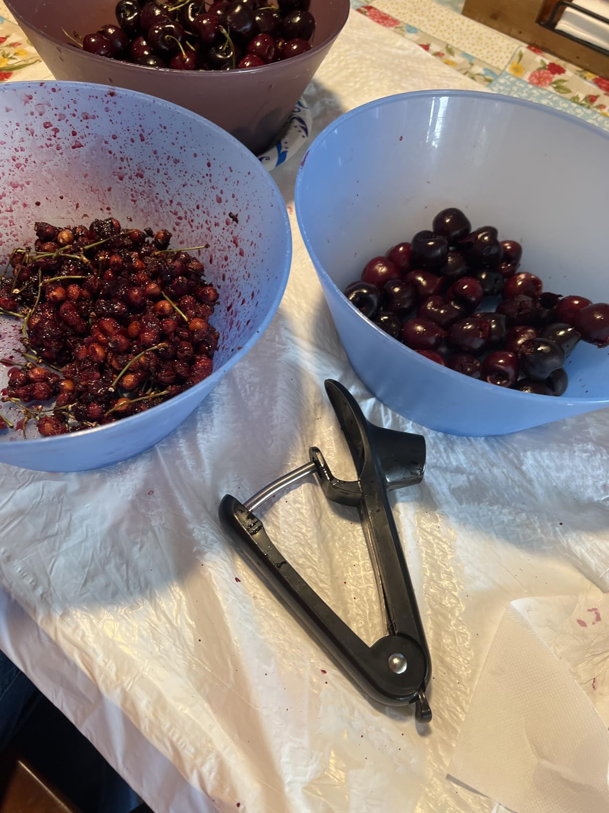 SCHVUBENR Cherry Pitter Tool - Stainless Steel Cherry Corer Pitter with Ergonomic Push Design - Easy to Use for Making Cherry Jam - Pit Cherry with Ease, Saving Time & Space with Lock Design(Black) customer photo 1