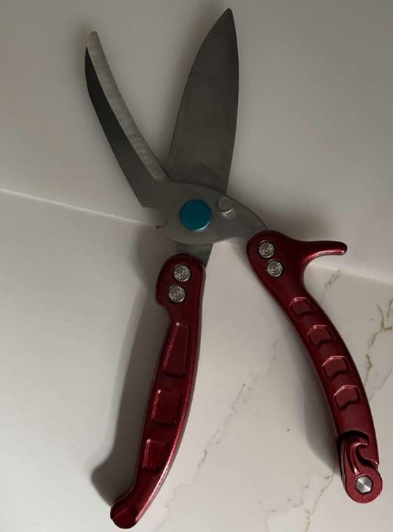 DRAGON RIOT Heavy Duty Poultry Shears - A Must Have Kitchen Shears for Chicken and Meat Cutting - Dishwasher Safe and Stainless Food Kitchen Scissors for Thanksgiving customer photo 1