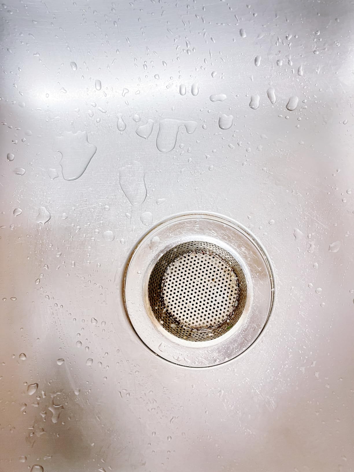 10 Best Kitchen Drain Strainers (March 2026) Tested