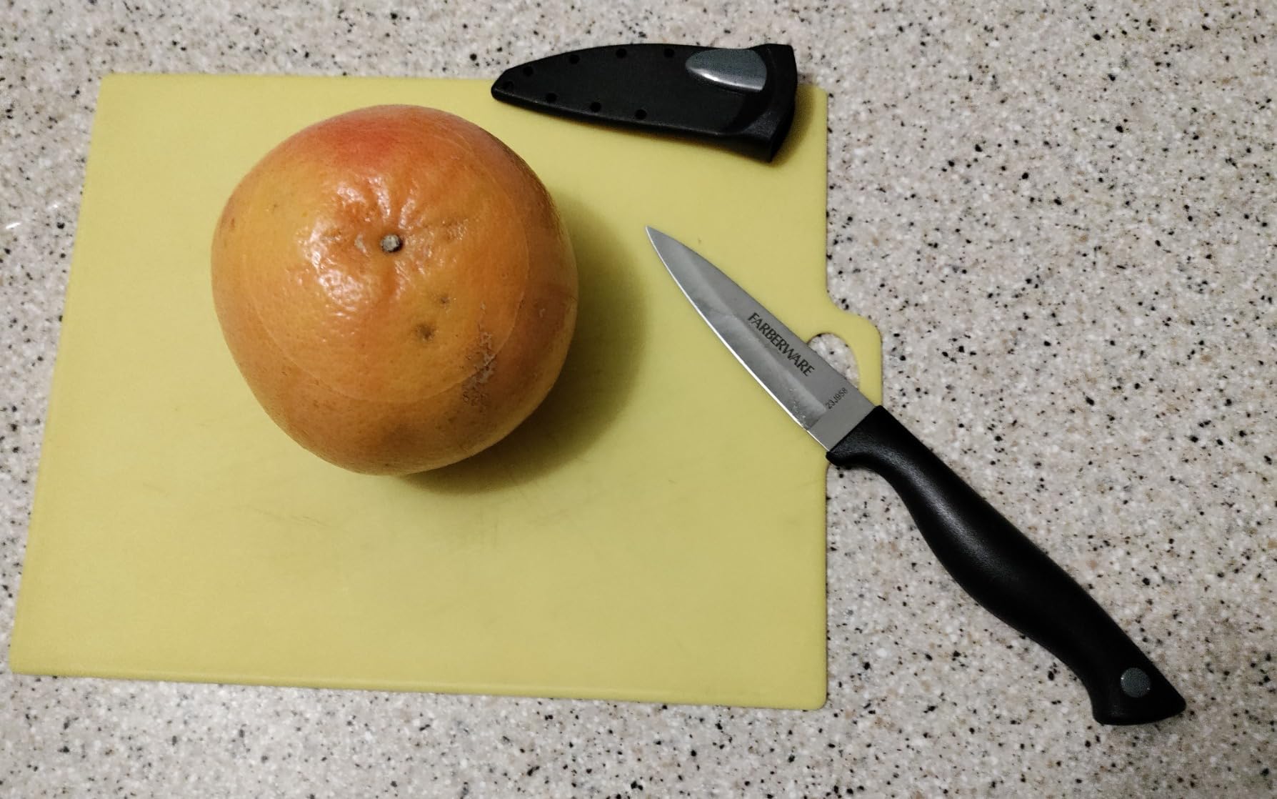 Farberware Edgekeeper 5-Inch Santoku Knife with Self-Sharpening Blade Cover customer photo 2