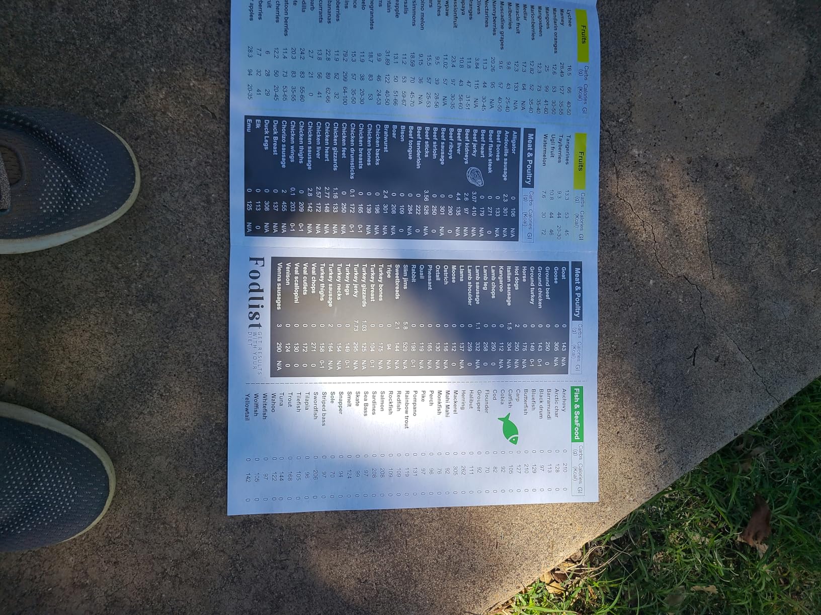 Fodlist Diabetic Food Chart. Glycemic Index Food Guide Chart. Laminated Diabetes Food List and Meal Planner, all in One. Including Carbs Counter. Helpful for Grocery, type 1, 2, & prediabetic, Meal Planning, & Healthy Nutrition that Supports Blood Sugar Control and Diabetes Management. customer photo 1