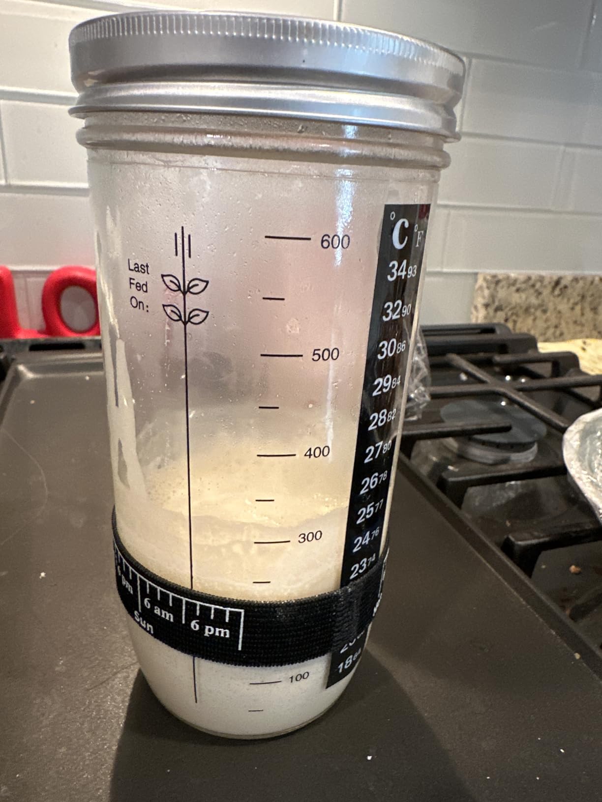 Sourdough Bread Baking Supplies,24 oz Sourdough Starter Jar Glass, Sourdough Starter Kit with Date Marked Feeding Band, Thermometer, Silicone Scraper, Sewn Cloth Cover & Aluminum Lid, Sourdough Jar customer photo 2