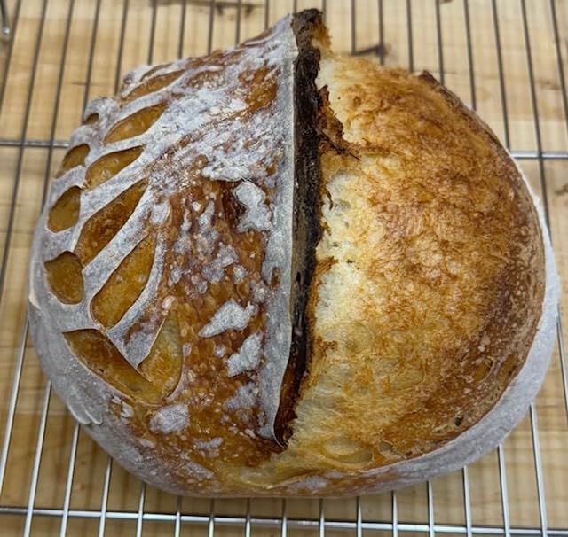 Pre-Seasoned Cast Iron Dutch Oven Pot with Lid Dual Handle, Sourdough Bread Baking Pots, Bread Oven, Camping, Grill, Induction, Electric, Round 5 Quart, Black customer photo 2