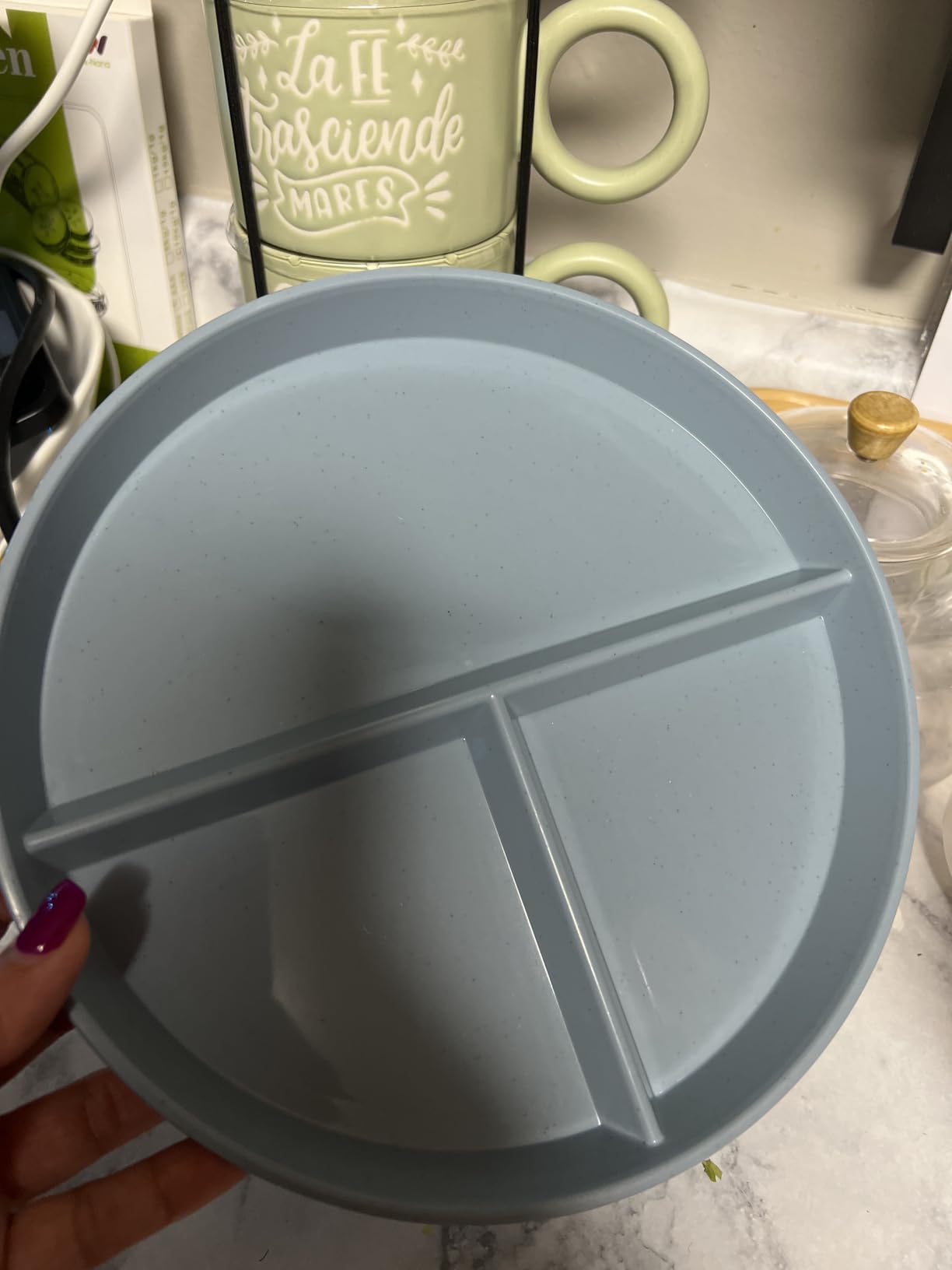 2Pack 9 Inch Portion Control Plates, Divided Plates for Dinner, Round Bariatric Dinner Plate for Adults, Dishwasher & Microwave Safe (Blue & Green) customer photo 1