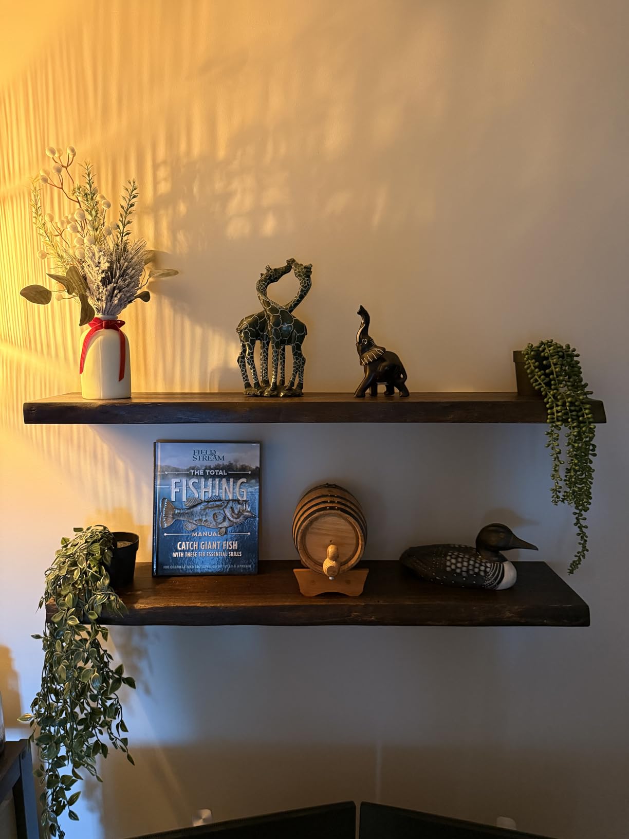 Floating Shelves for Wall Decor, Rustic Solid Elm Wood Live Edge Floating Shelves Wall Mounted, Wall Shelves with Invisible Bracket for Living Room Bathroom Bedroom Kitchen, 24 Inch Set of 2, Natural customer photo 2