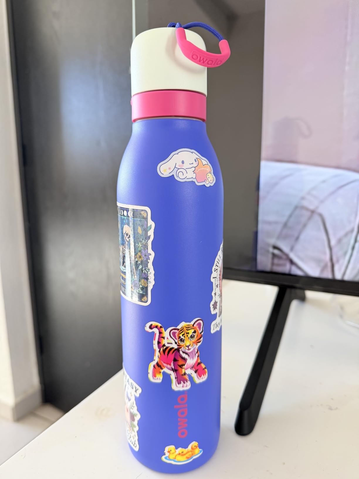 Owala FreeSip Twist Insulated Stainless Steel Water Bottle with Straw for Sports and Travel, BPA-Free, 24-oz, Pink/Purple (Dreamy Field) customer photo 1