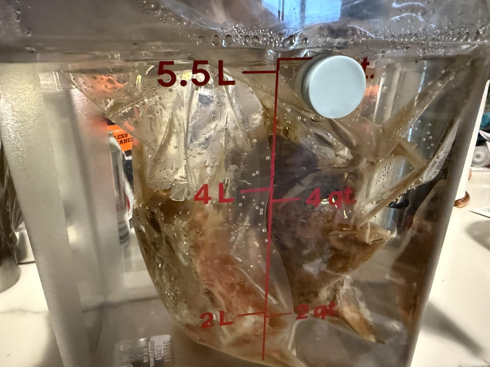 MOMOMA Sous Vide Magnets 12Pcs-Food-Grade Silicone Coated Weights&Clips, Keep Bags Submerged, Works on All Machines, Multi-Use for Cooking, Display, Home&Office (Sous Vide weights-12pcs Round) customer photo 1