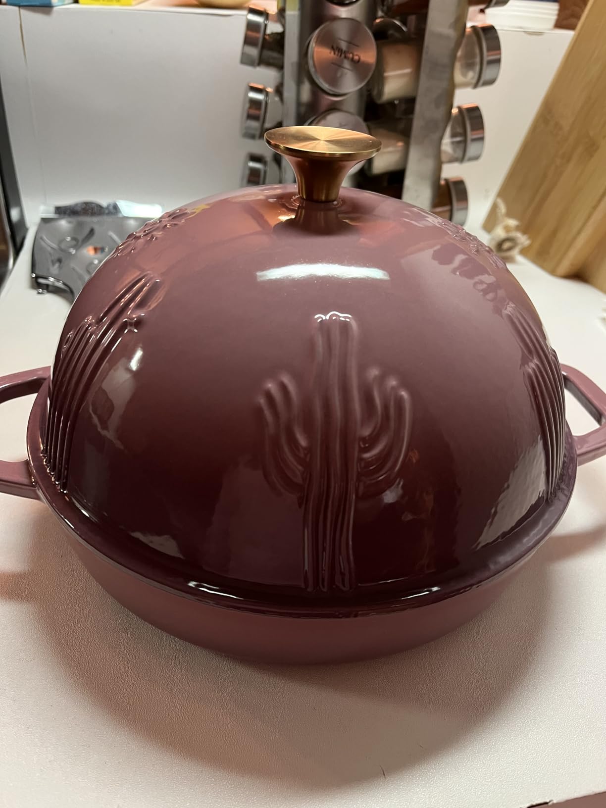 Bread Oven Cast Iron Bread Dutch Oven with Cloche Lid for Bread Baking Darkcyan Enameled Cast Iron Bread Oven with Dome Lid for Sourdough, 9.8 Inches customer photo 1
