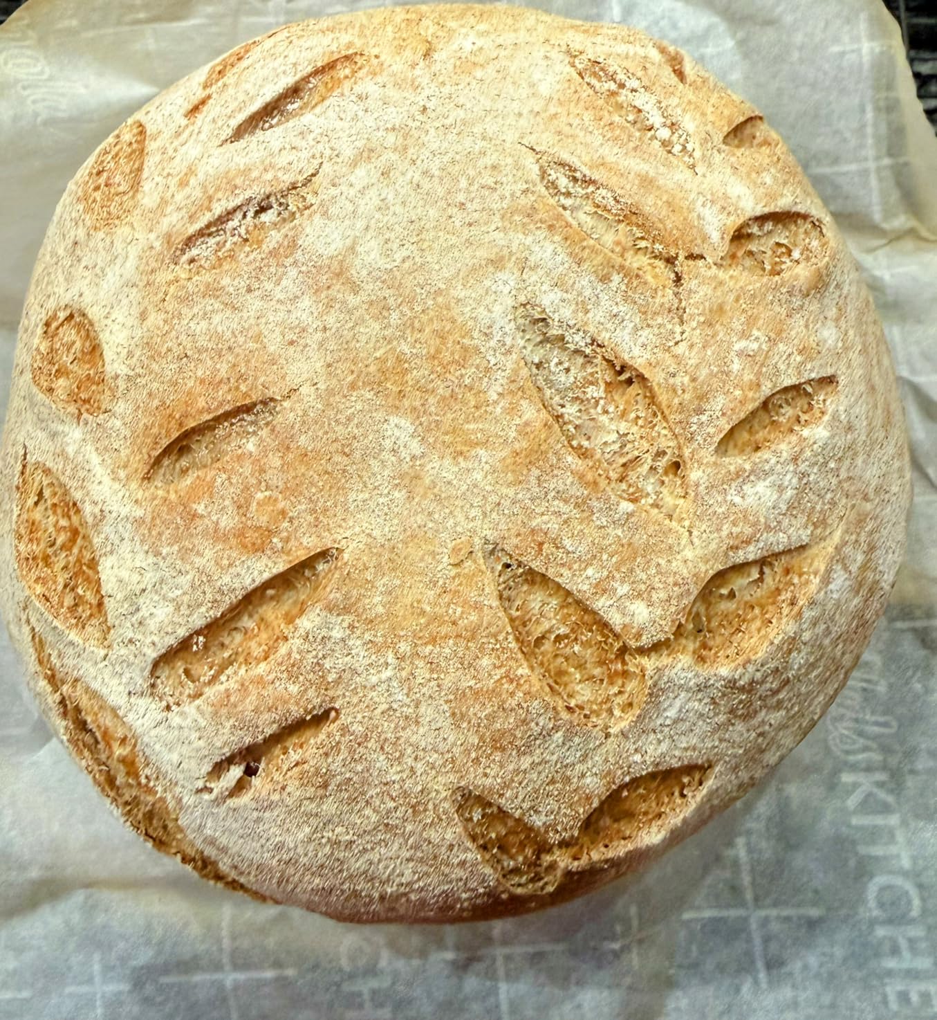 Cast Iron Dutch Oven for Bread Baking - incl. Sourdough Bread-Baking Supplies like Banneton Bread-Proofing Basket - 5QT Bread-Oven with Lid Bread-Making Kit Pan, Pot, Sour Sough Tools, Lame customer photo 1