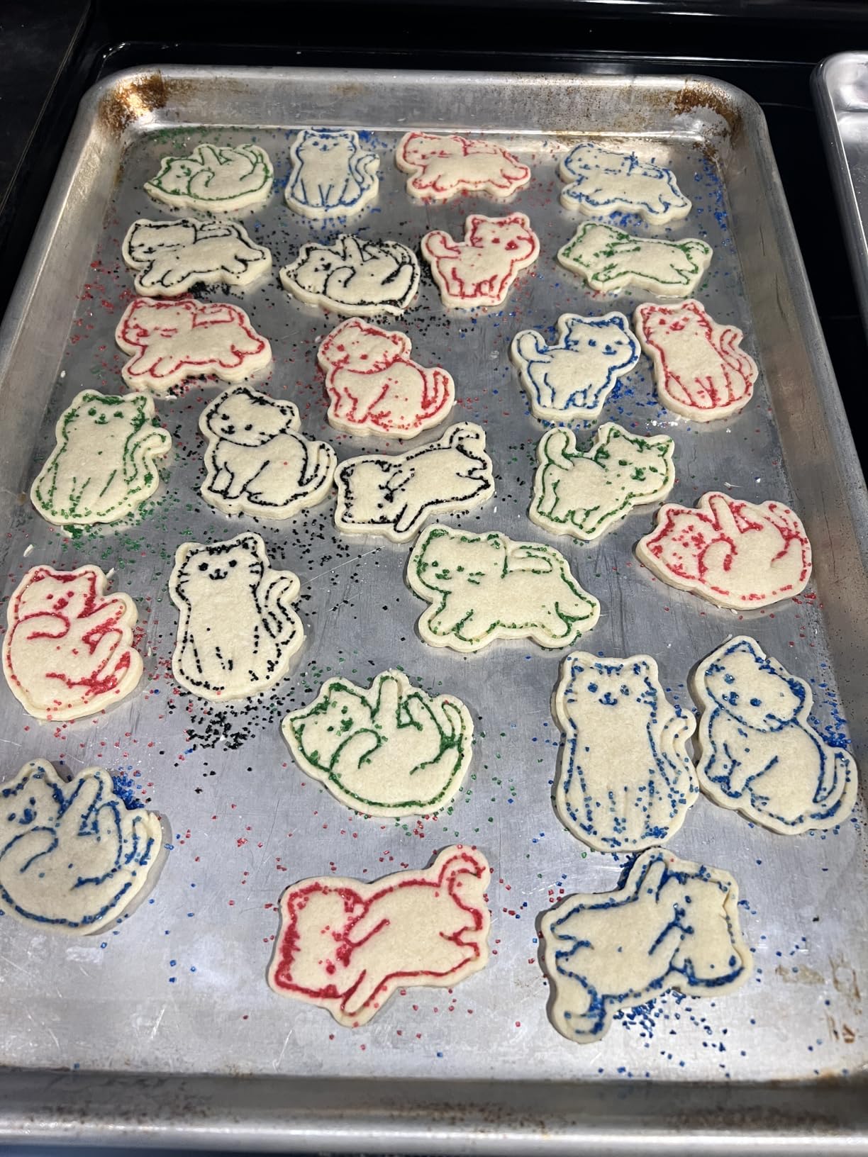 8pc 3D Cute Cat Cookie Stamps, Cupcake Pancake Apple Pie Pastry Biscuit Molds, Fruit & Sandwich Cutter Set for Cat Party Decorations customer photo 1