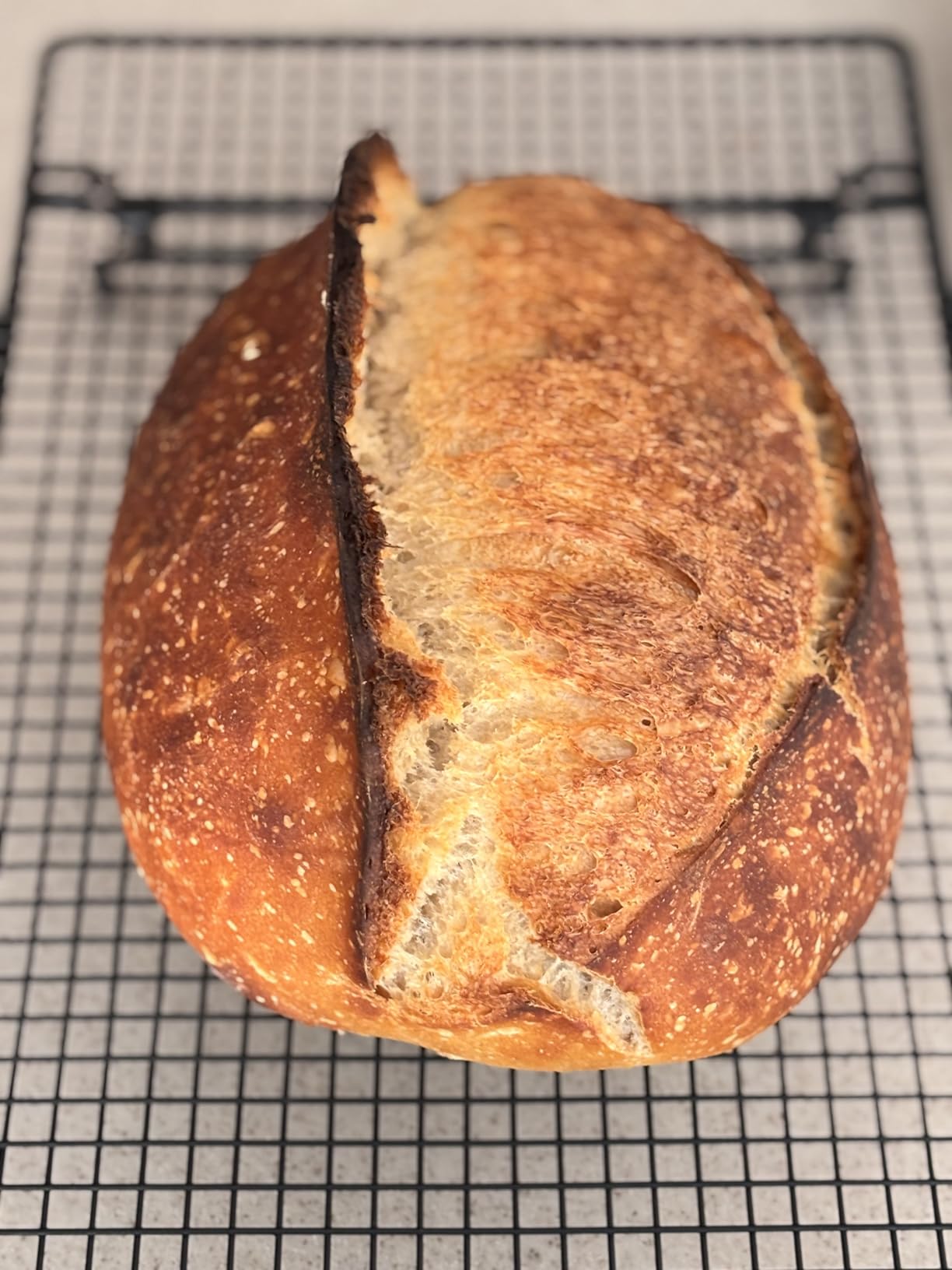 Cloche Loaf Dutch Oven, Pre-Seasoned, 9.5QT, 13 LBS Heavy Duty, Non-Stick, Large Bread Loaf Pan, Oval Cast Iron Bread Pan With Lid, Cloche Homemade Loaf Pan, Sourdough Artisan Bread Baking Pan customer photo 2