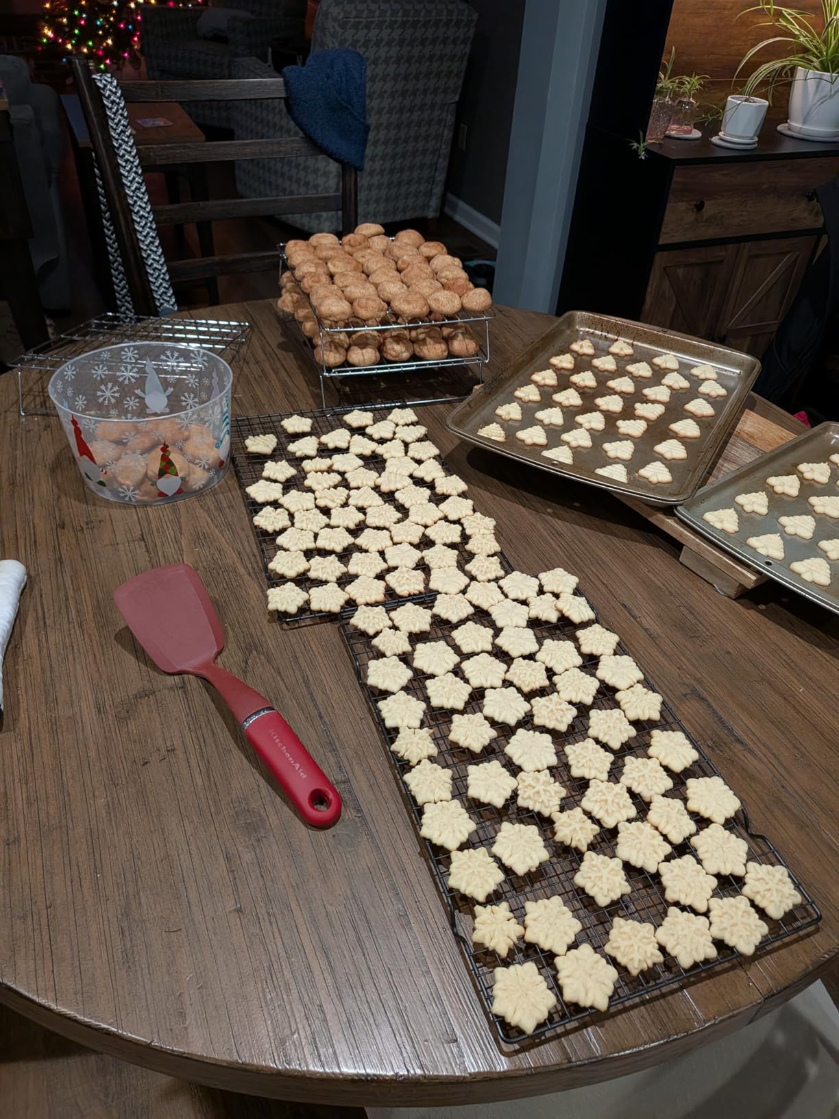 14-Piece Cookie Press Set - Upgraded - Stainless Steel Disks & Storage Case - Heavy-Duty Design customer photo 1
