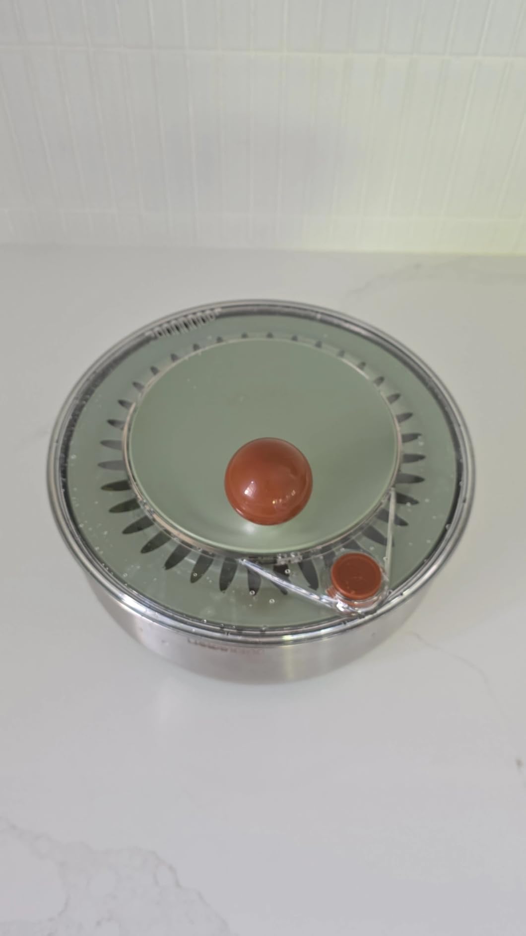 Stainless Steel Salad Spinner, Lettuce Spinner with Drain, Non-Slip Base, Stop Button, Vegetable Dryer, BPA Free, 5.3 Qt customer photo 1