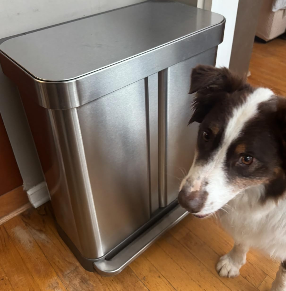 simplehuman 58 Liter / 15.3 Gallon Rectangular Hands-Free Dual Compartment Recycling Kitchen Step Trash Can with Soft-Close Lid customer photo 1