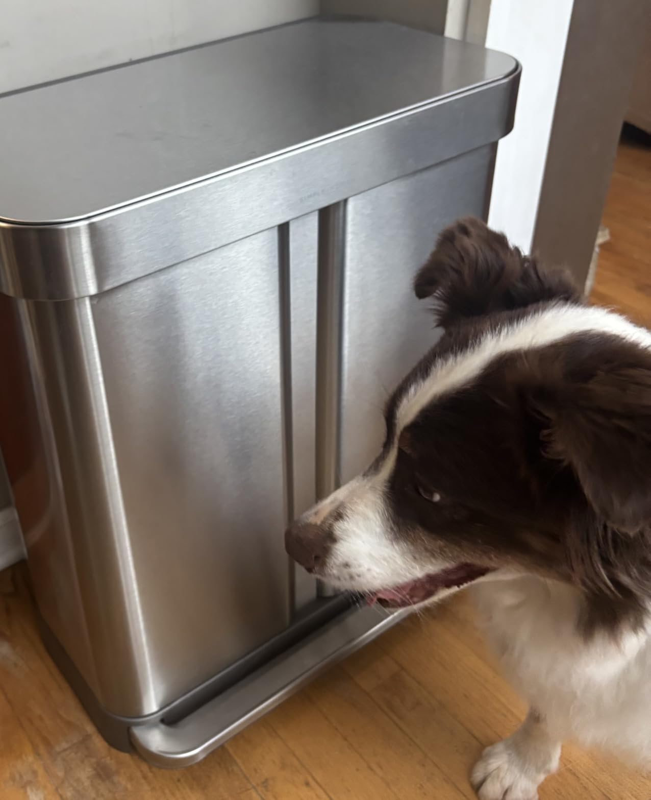 simplehuman 58 Liter / 15.3 Gallon Rectangular Hands-Free Dual Compartment Recycling Kitchen Step Trash Can with Soft-Close Lid customer photo 2