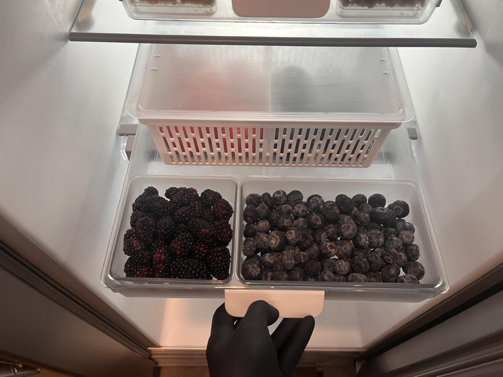 OXO Good Grips Produce Saver - Berry Keeper 2-Piece Set customer photo 2