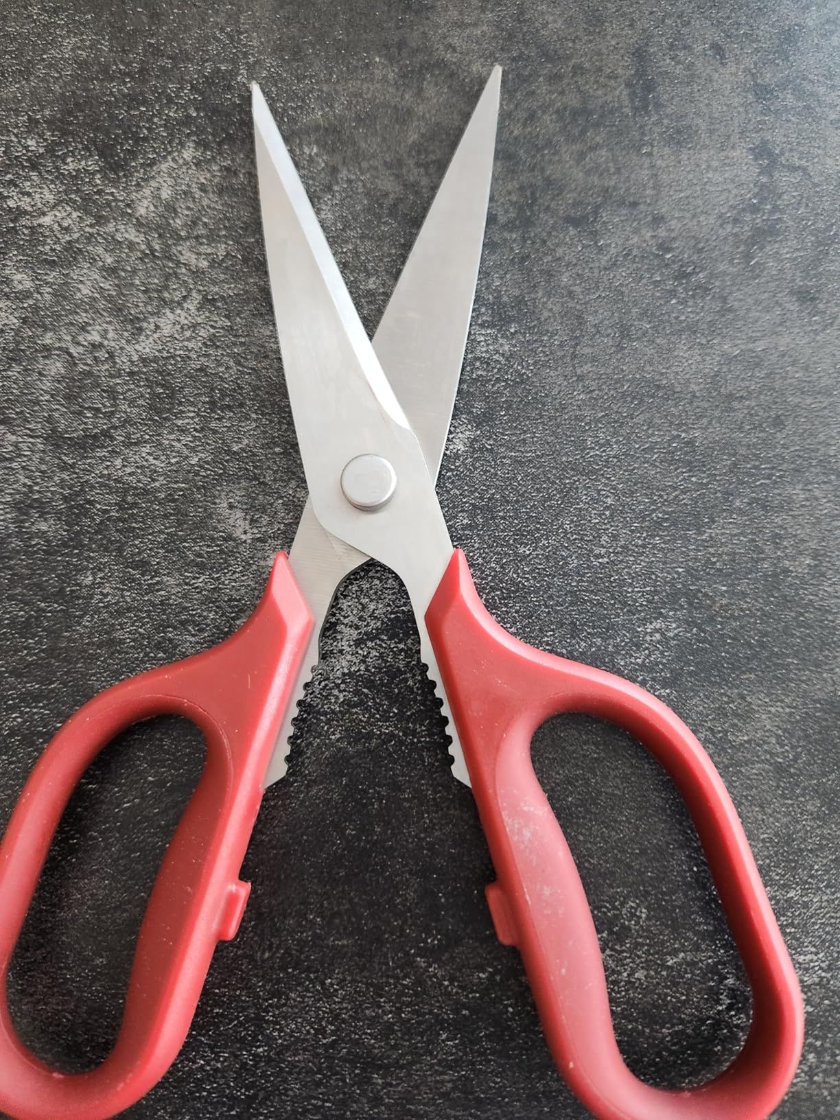 Misen Heavy Duty Kitchen Shears - Comfortable Ambidextrous Scissors for Meat, Poultry, Herbs & More - Easy to Clean - German Stainless Steel - Large | Green customer photo 1