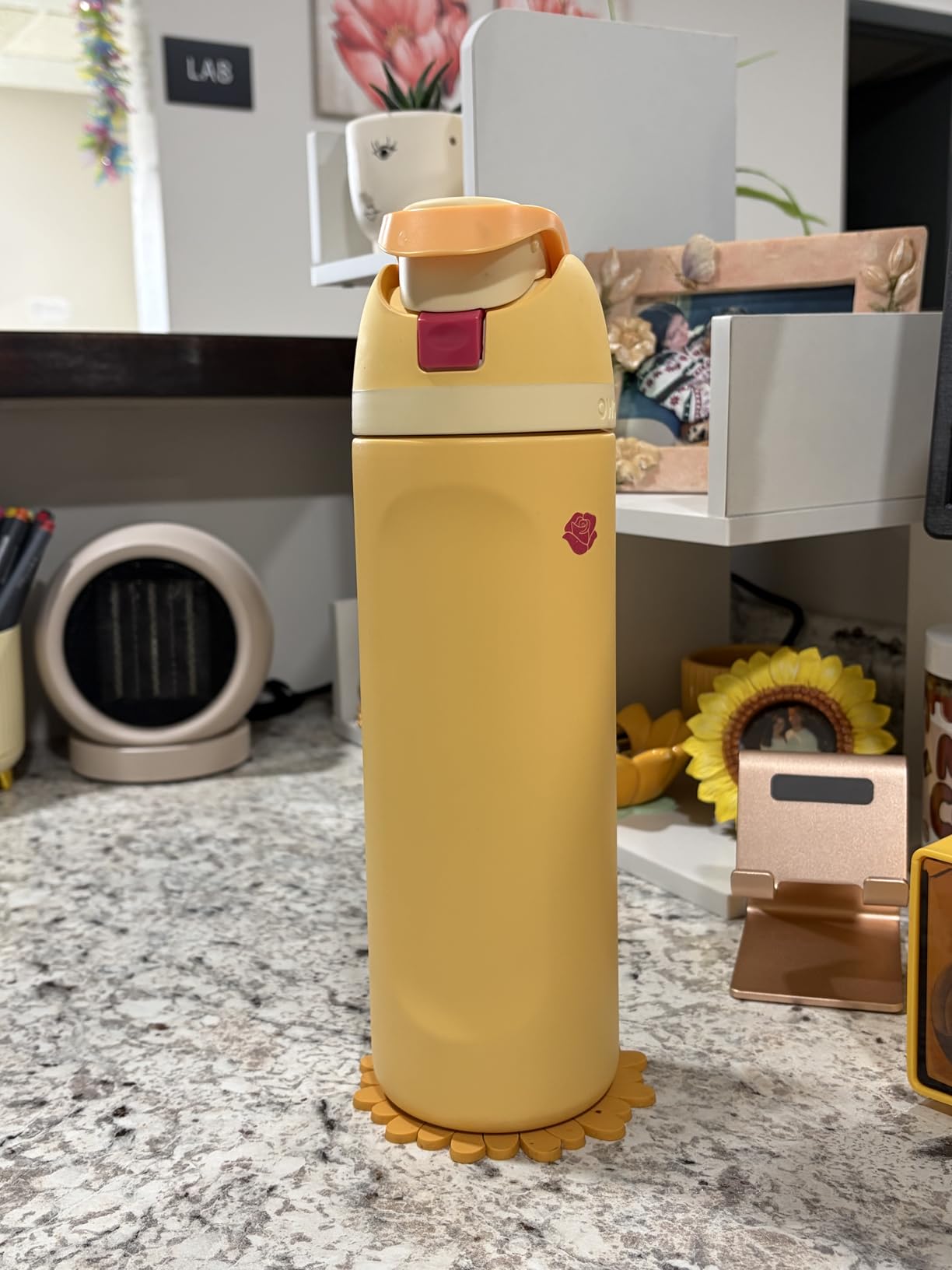 Owala Disney Princess FreeSip Insulated Stainless Steel Water Bottle with Straw for Sports and Travel, BPA-Free Sports Water Bottle, 24 oz, Rapunzel customer photo 1