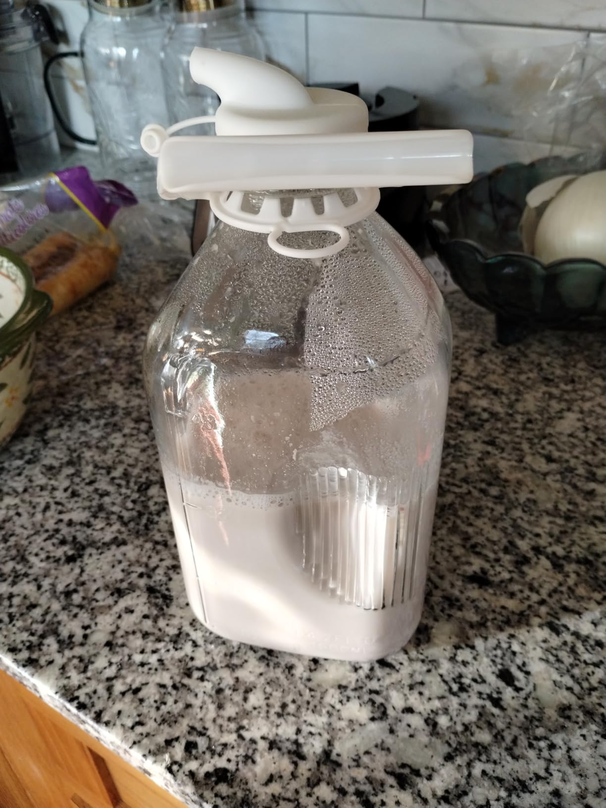 50.73oz Nut Milk Maker Machine: 12-in-1 Automatic Soy Milk Maker with Detachable Design, Homemade Juice, Almond, Oat Milks for Plant-Based Milks, 24H Delay Start/Keep Warm/Auto-Clean/Safety Lock customer photo 2