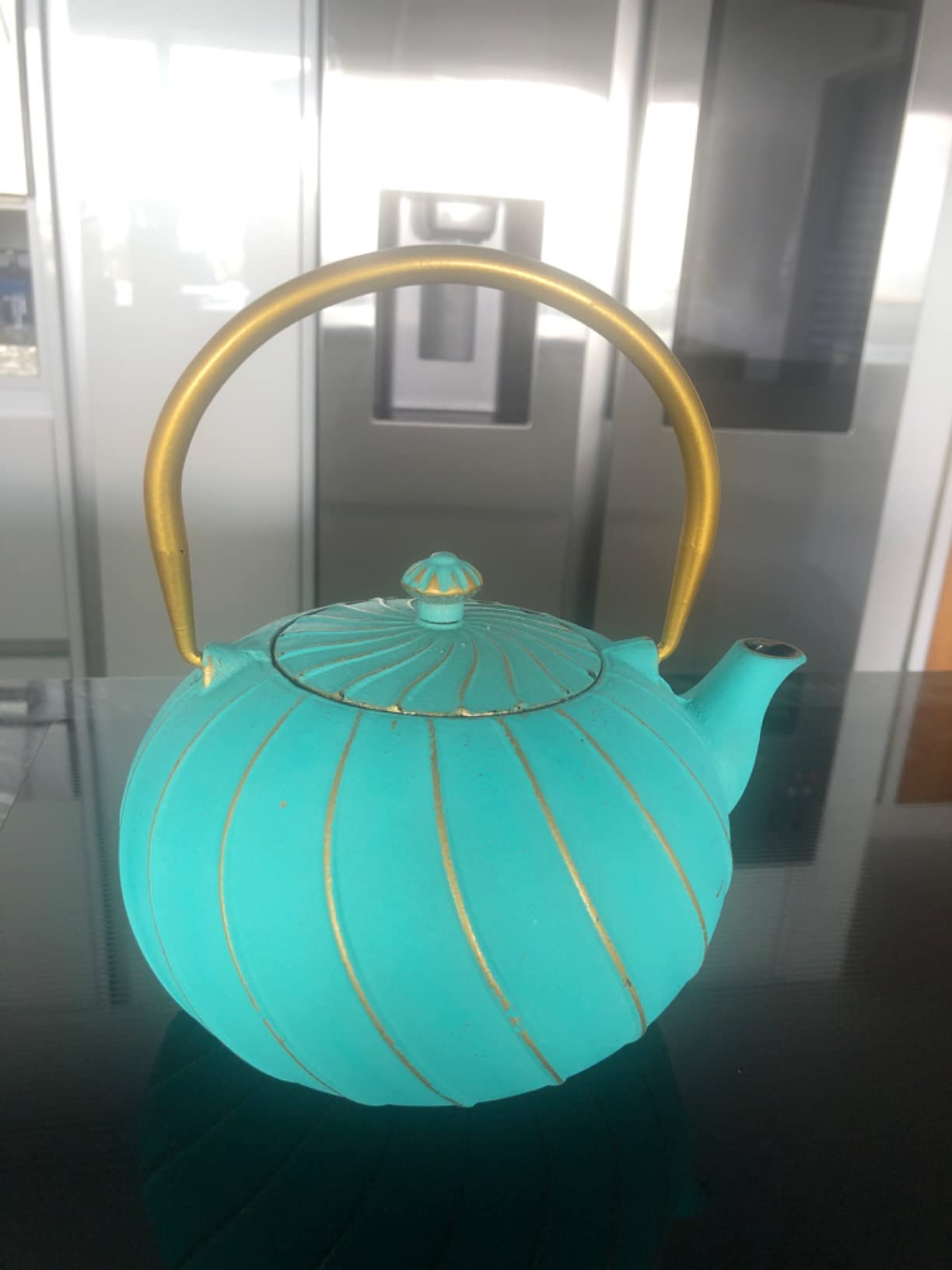 Cast Iron Teapot SECHUDO Teapot for Stovetop Safe Coated with Enameled Interior,Japanese Beautiful Tea Kettle with Stainless Steel Infuser for Loose Tea (60.9oz Plum Blossoms and Bird Pattern) customer photo 2