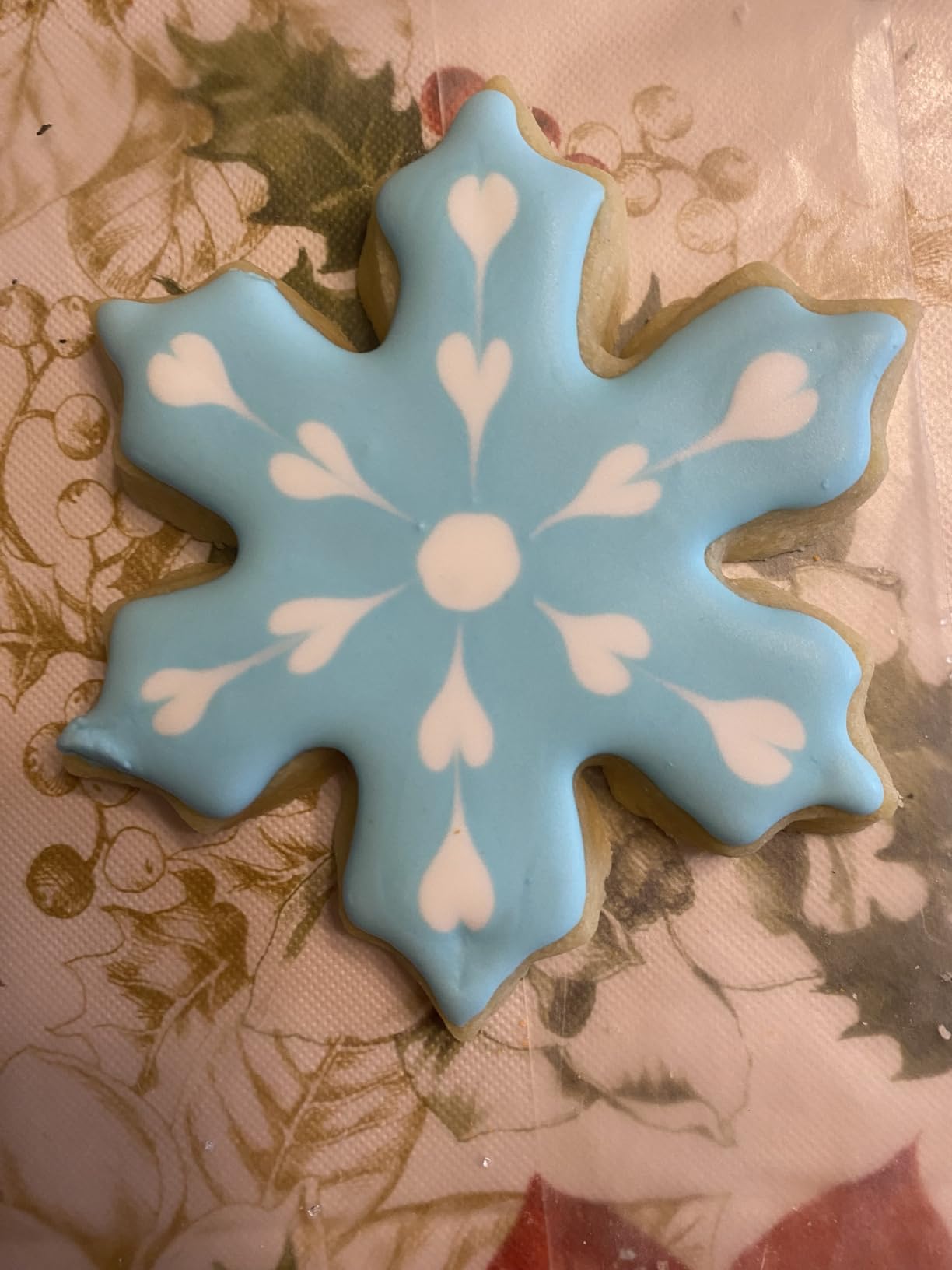 Cookie Decorating Supplies Including 2Pcs Acrylic Cookie Turntable 6Pcs Cookie Scribe Needle 4Pcs Silicone Mesh Mats 6Pcs Cookie Decoration Brushes 8Pcs Rubber Feet Bumpers customer photo 1