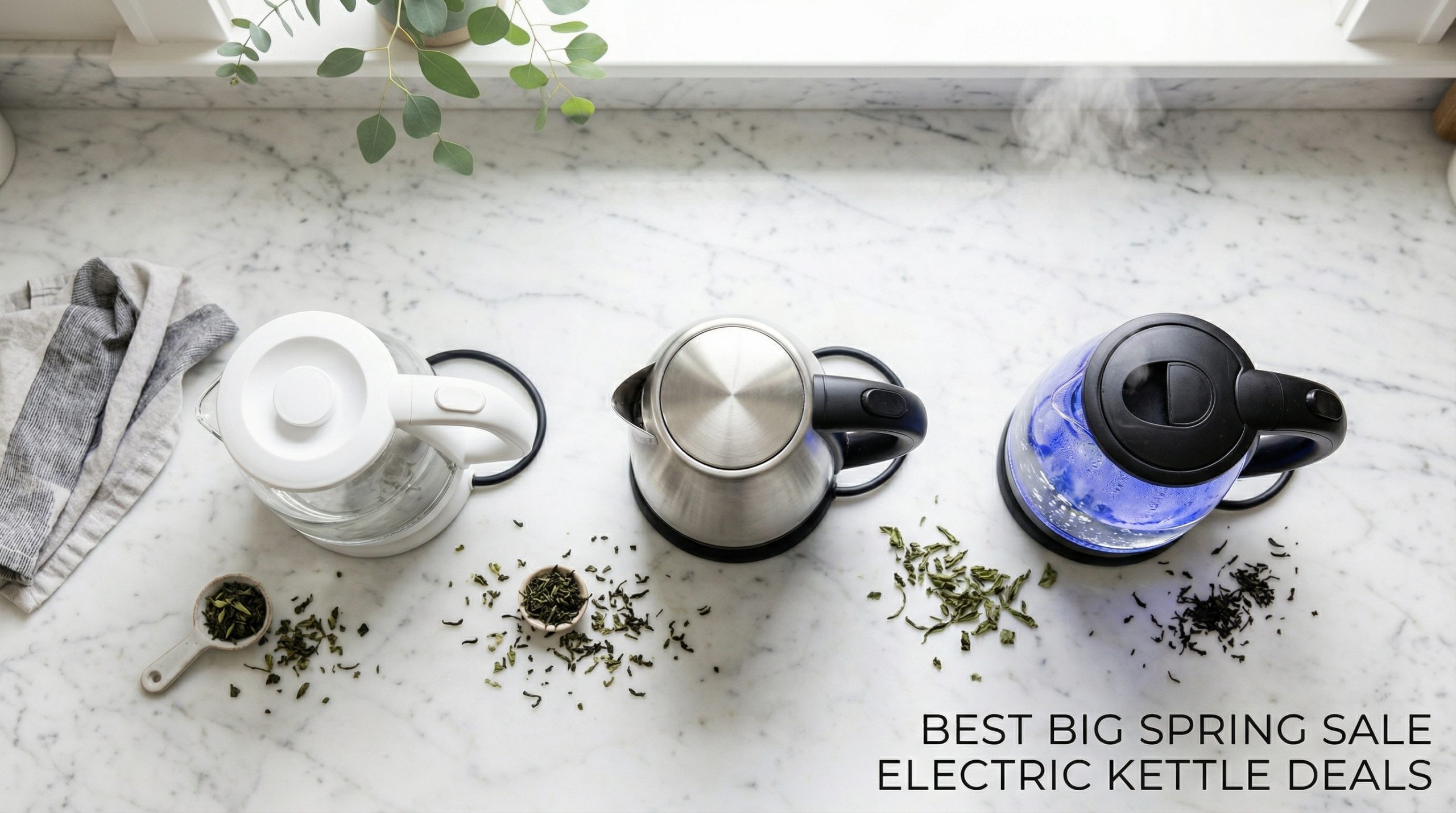 Best Big Spring Sale Electric Kettle Deals on Amazon