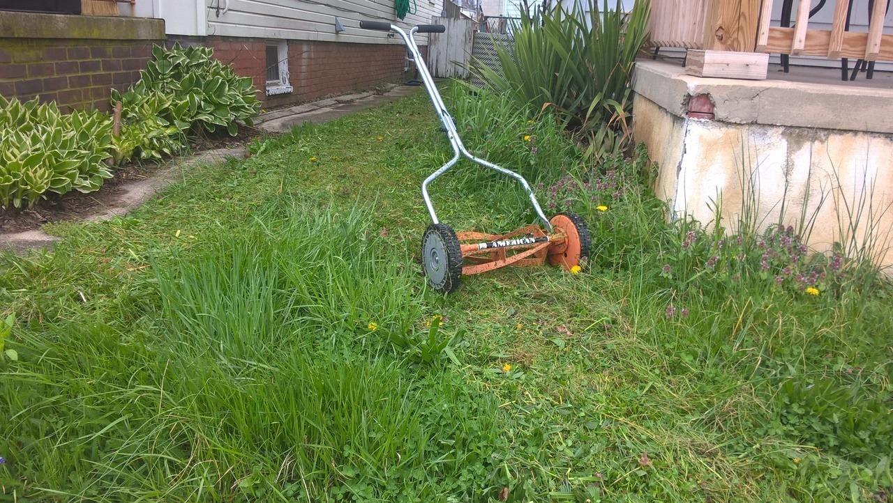 American Lawn Mower Company 1204-14 14-Inch 4-Blade Push Reel Lawn Mower, Red customer photo 2