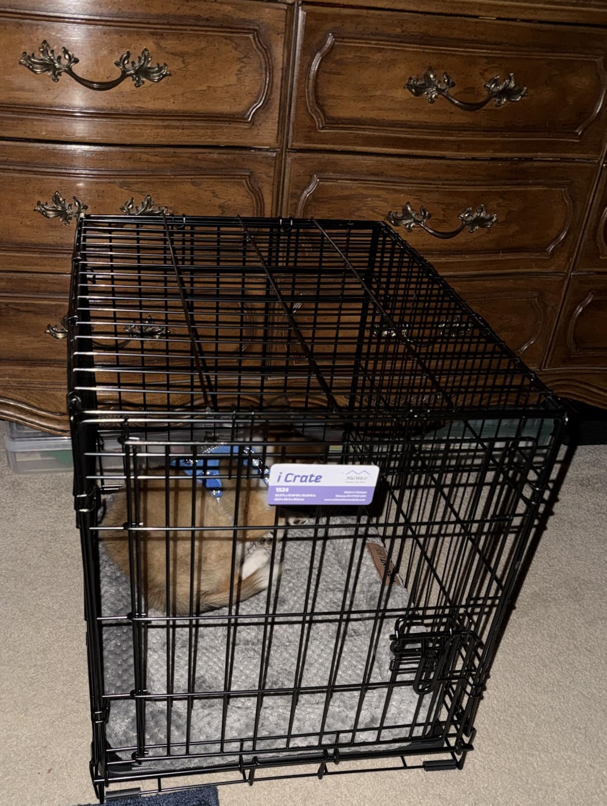 MidWest Homes for Pets 30-Inch iCrate for Medium Breeds, 21-40 lbs, Single Door Folding Dog Crate with Divider Panel, Leak-Proof Tray & Secure Latch, Portable, Durable & Easy to Assemble customer photo 1