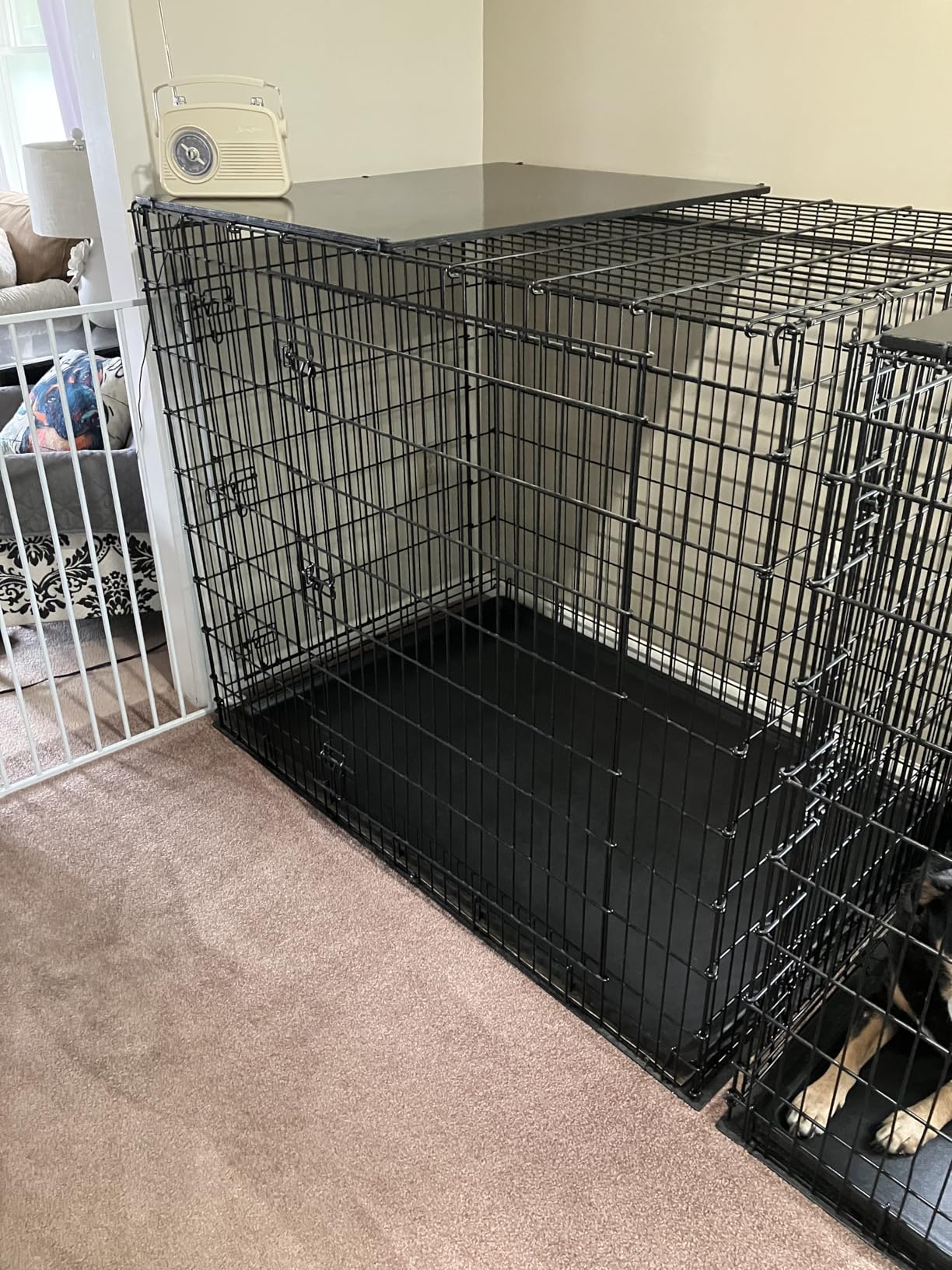 MidWest Homes for Pets 36-Inch iCrate for Medium-Large Breeds, 41-70 lbs, Double Door Folding Dog Crate with Divider Panel, Leak-Proof Tray & Secure Latches, Portable, Durable & Easy to Assemble customer photo 1