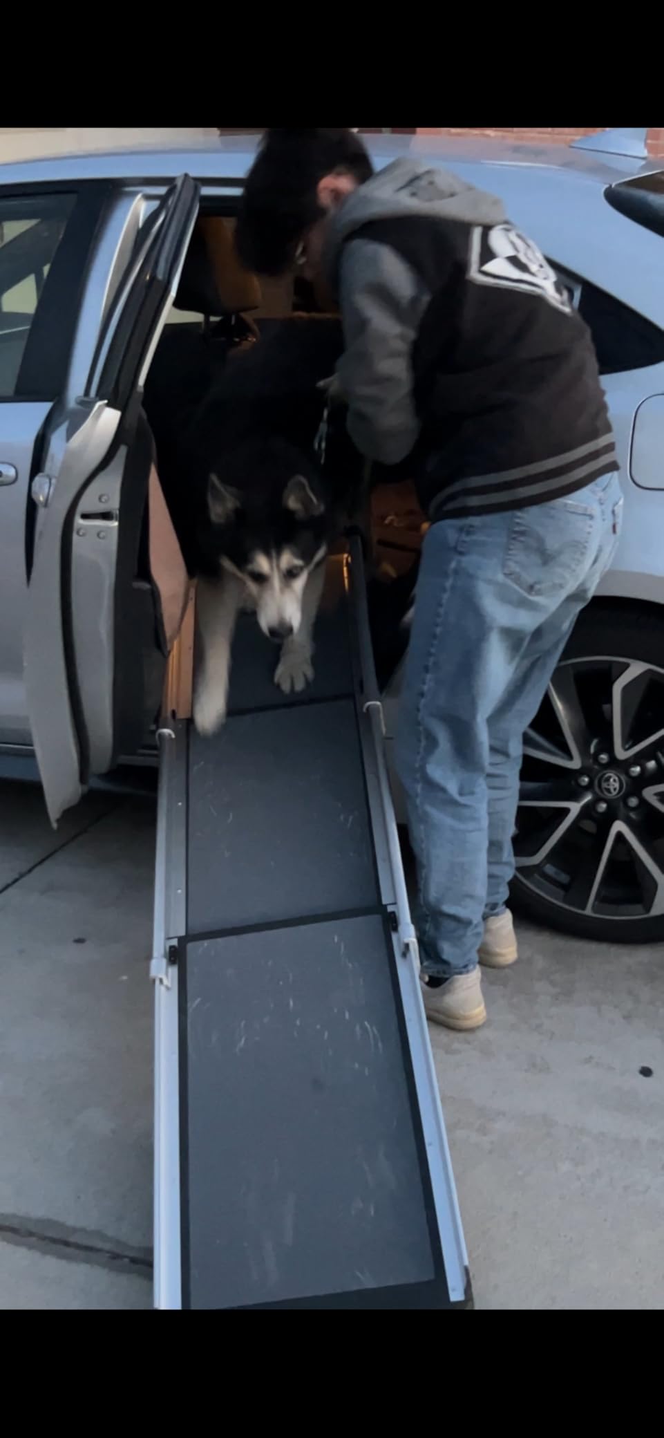 PetSafe Happy Ride Compact Telescoping Dog Ramp - Portable Pet Ramp for Cars, Trucks & SUVs with Adjustable Sizing - Non-Slip Design - Lightweight Pet Mobility Assistance customer photo 1