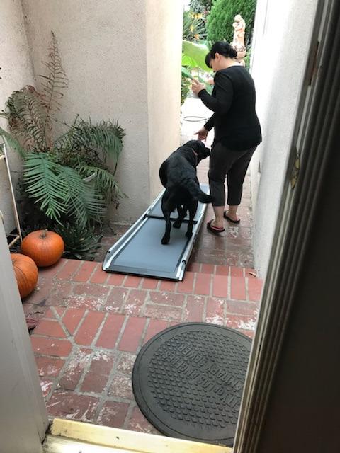 PetSafe Happy Ride Compact Telescoping Dog Ramp - Portable Pet Ramp for Cars, Trucks & SUVs with Adjustable Sizing - Non-Slip Design - Lightweight Pet Mobility Assistance customer photo 2