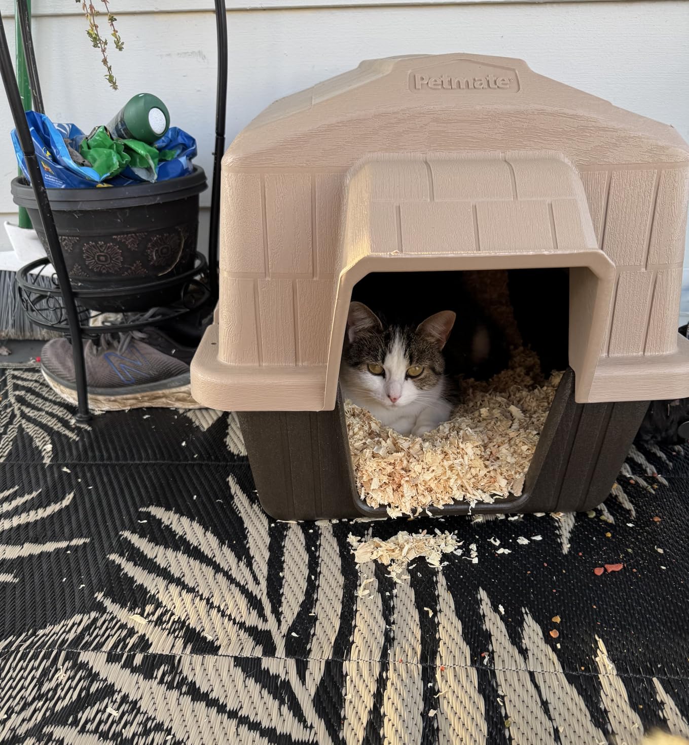 Petmate Aspen Pet Outdoor Dog House, Extra Small, For Pets Up to 15 Pounds, Made in USA customer photo 2