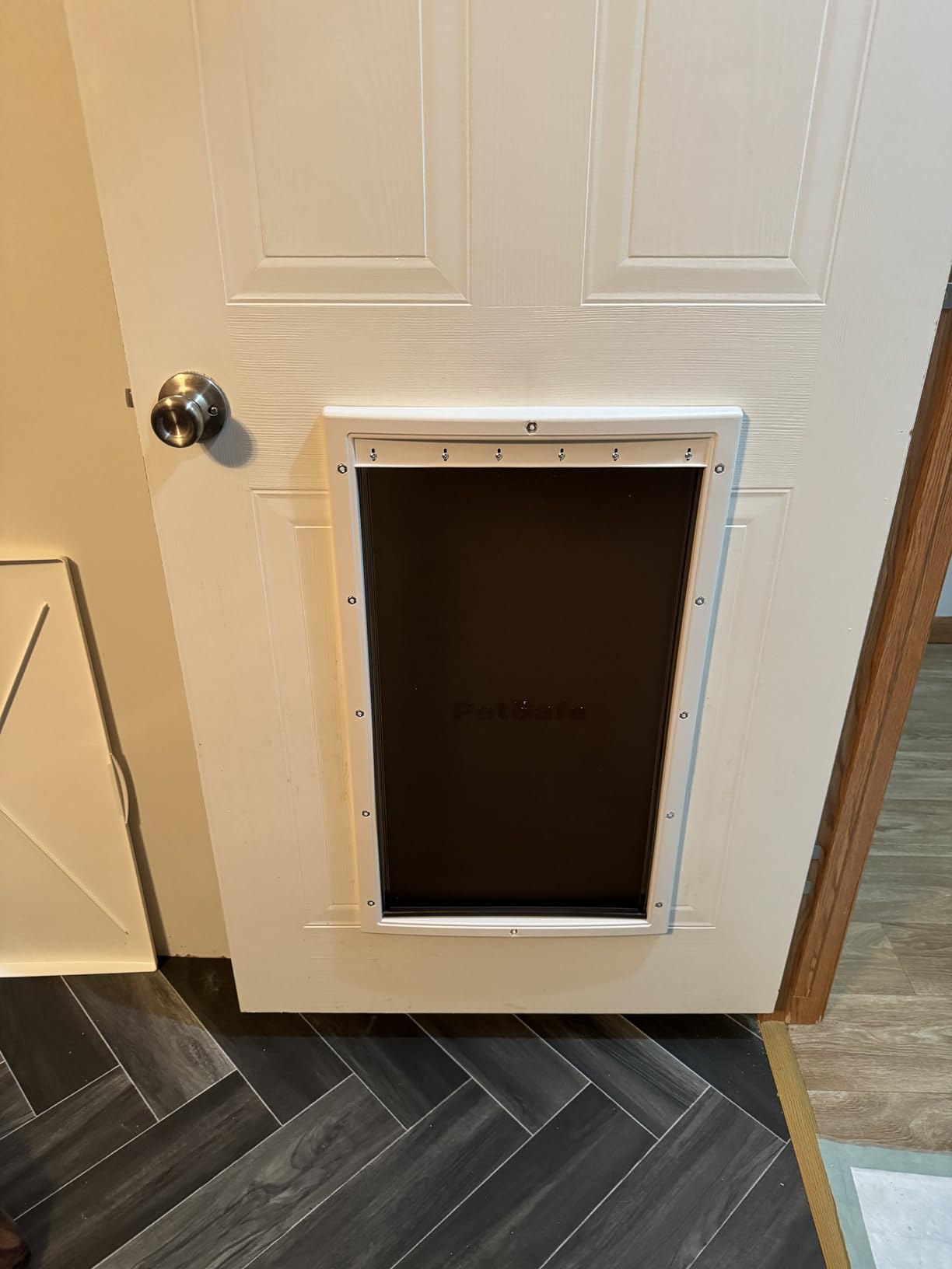 PetSafe Plastic Pet Door - Easy Install for Wood, PVC Metal & Paneled Doors - Rust-Free Plastic Frame - Flap Dimensions 8 1/4
