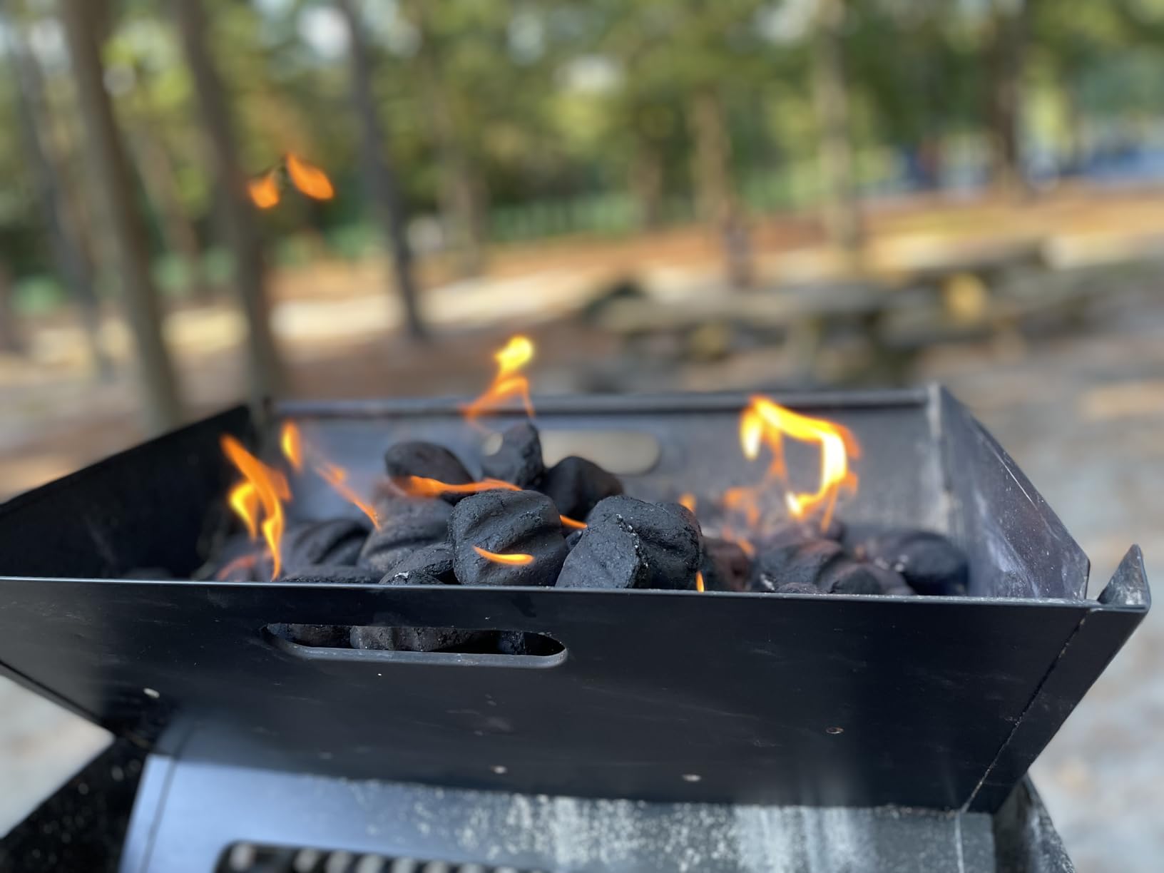Fire Sense 60508 Notebook BBQ Grill 3.5mm Cooking Bars Instant Foldable & Easy Portability For Outdoor Barbecues Camping Traveling Picnics Garden Beach Party - Black customer photo 1