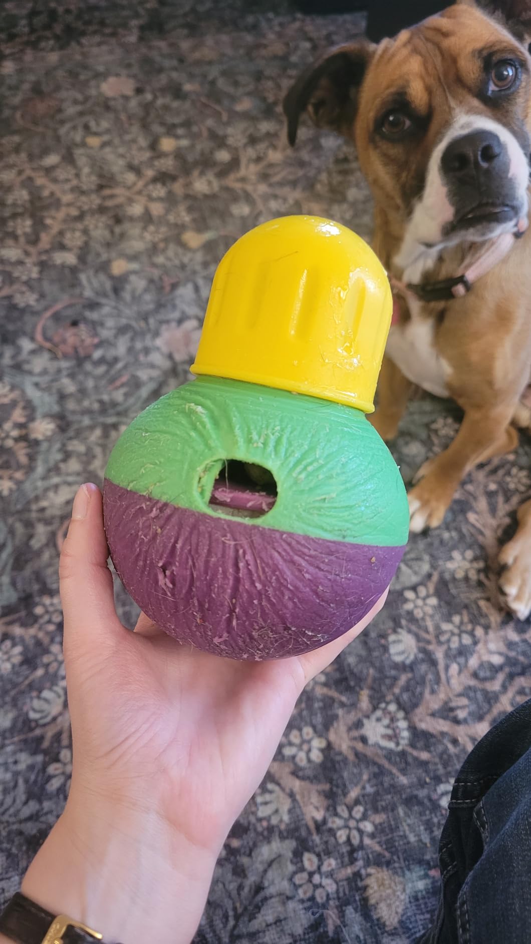 Starmark Treat Dispensing Bob-a-Lot Dog Toy, All Breed Sizes (Pack of 1) customer photo 1