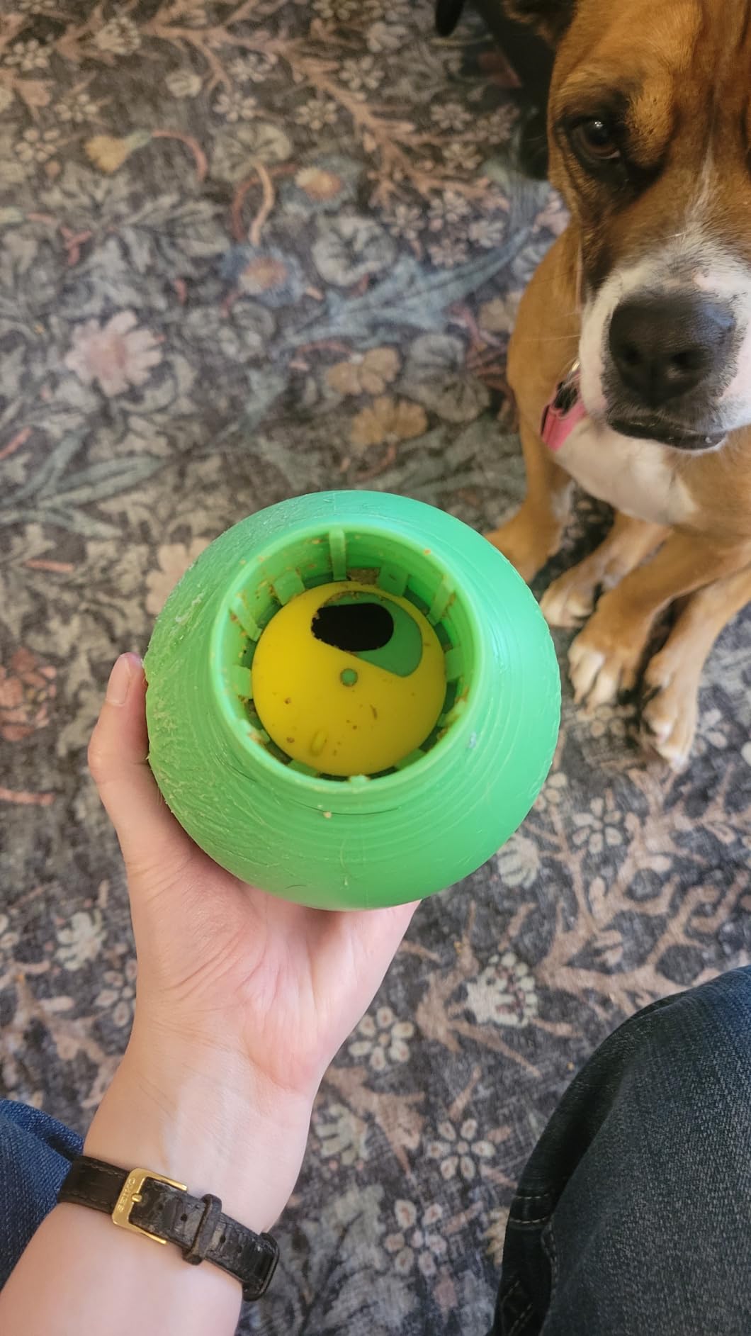 Starmark Treat Dispensing Bob-a-Lot Dog Toy, All Breed Sizes (Pack of 1) customer photo 2