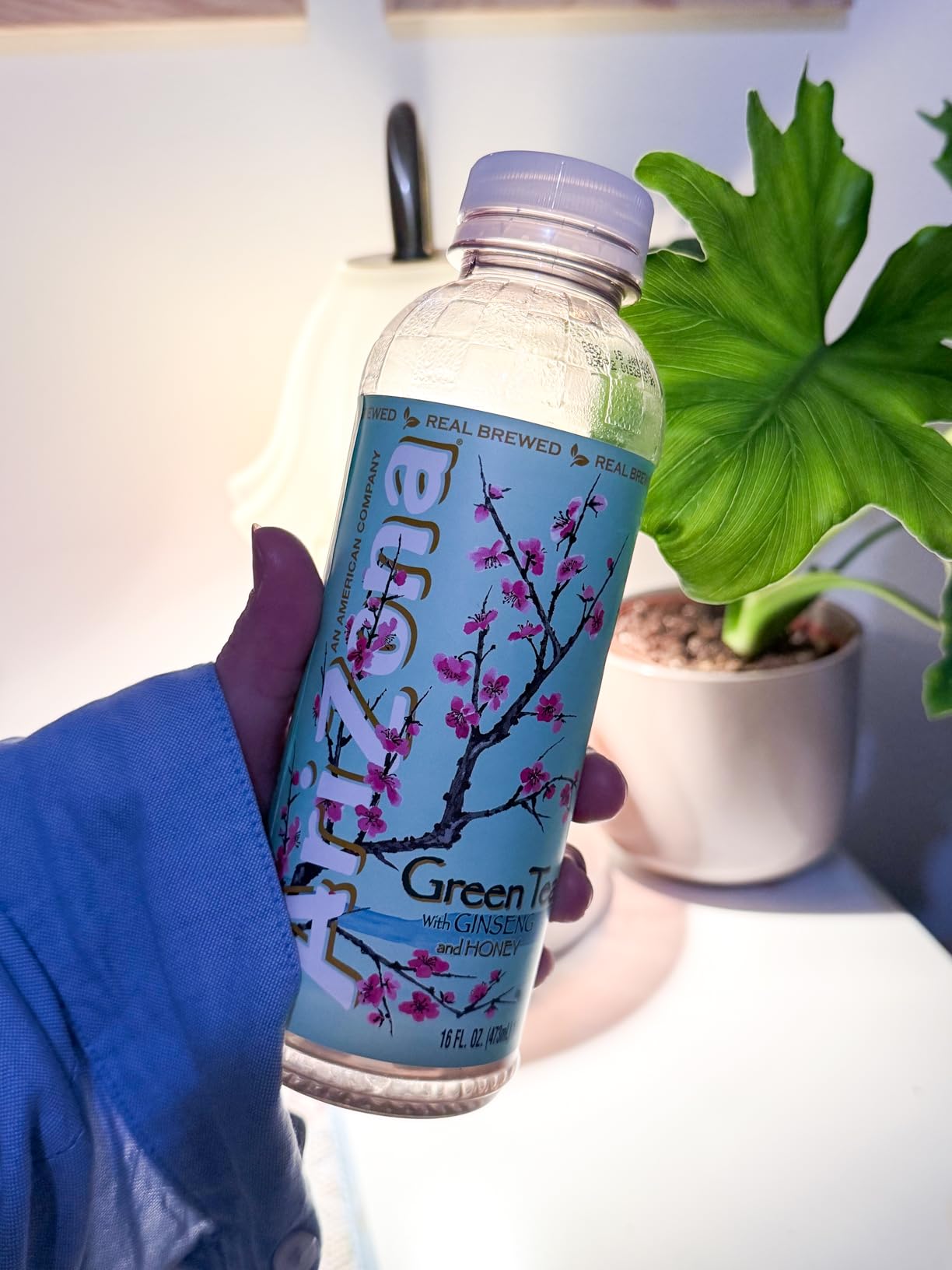 Arizona Green Tea with Ginseng and Honey, 16 Fl Oz (Pack of 12) customer photo 2