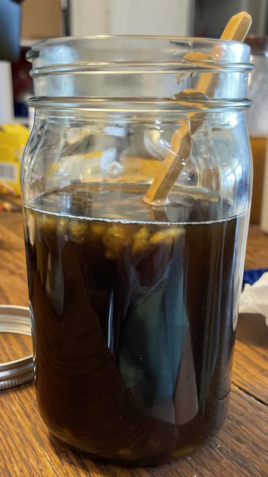 Quarter Cup Florida Sun Kefir Exclusive LIVE Prickly Pear Cactus Nodules Virgin Water Kefir Grains Unused customer photo 2