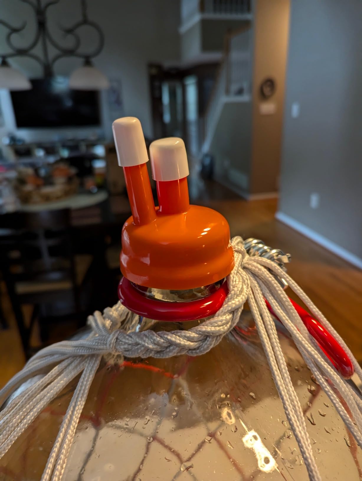 Carboy Cap for 3, 5 & 6 Gallon Carboys customer photo 1