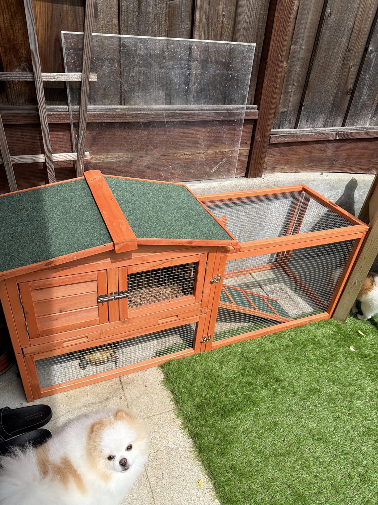 TRIXIE natura Outdoor Rabbit Hutch with Run - Small Elevated Rabbit Cage with Non-Slip Ramp - Small Animal House with Large Playpen, Hinged Roof & Pull-Out Tray - in Natural customer photo 1
